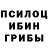 Галлюциногенные грибы Magic Shrooms LemanRass 626