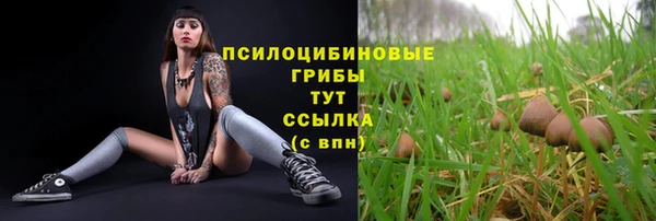 бутират Красноперекопск
