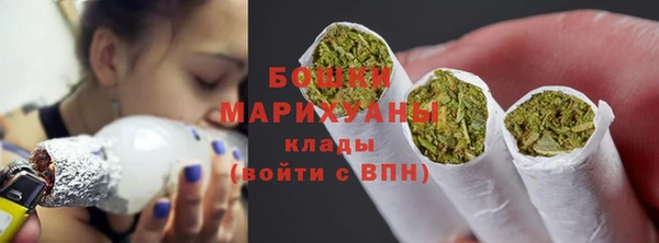ГАЛЛЮЦИНОГЕННЫЕ ГРИБЫ Корсаков