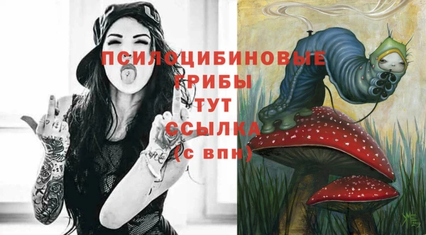 трава Краснослободск
