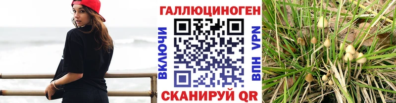Псилоцибиновые грибы мицелий  Яранск 